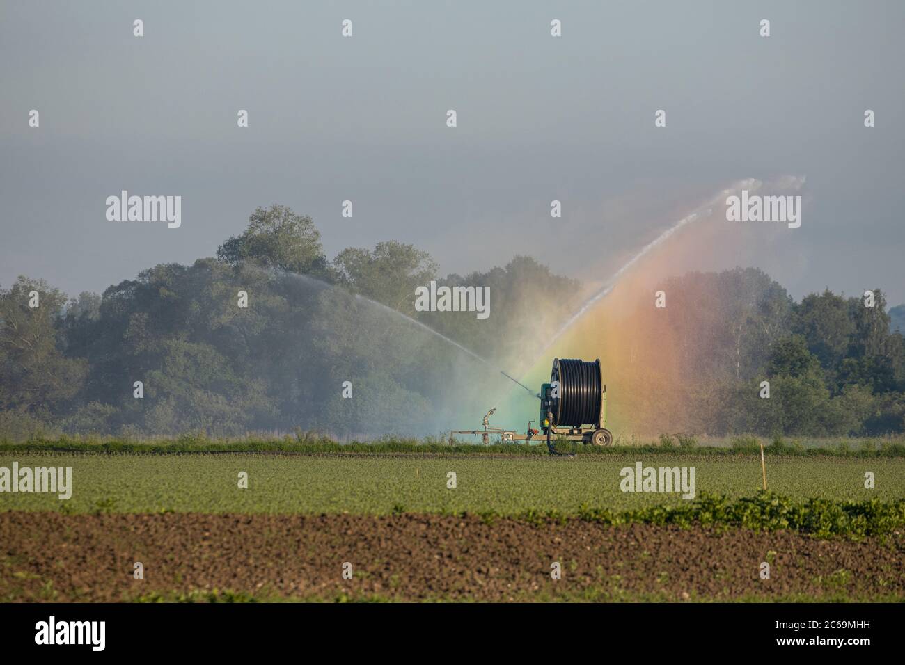 Il campo è irrigato a causa della siccità, arcobaleno in nebbia nebulizzata, Germania, Baviera, Erdinger Moos Foto Stock