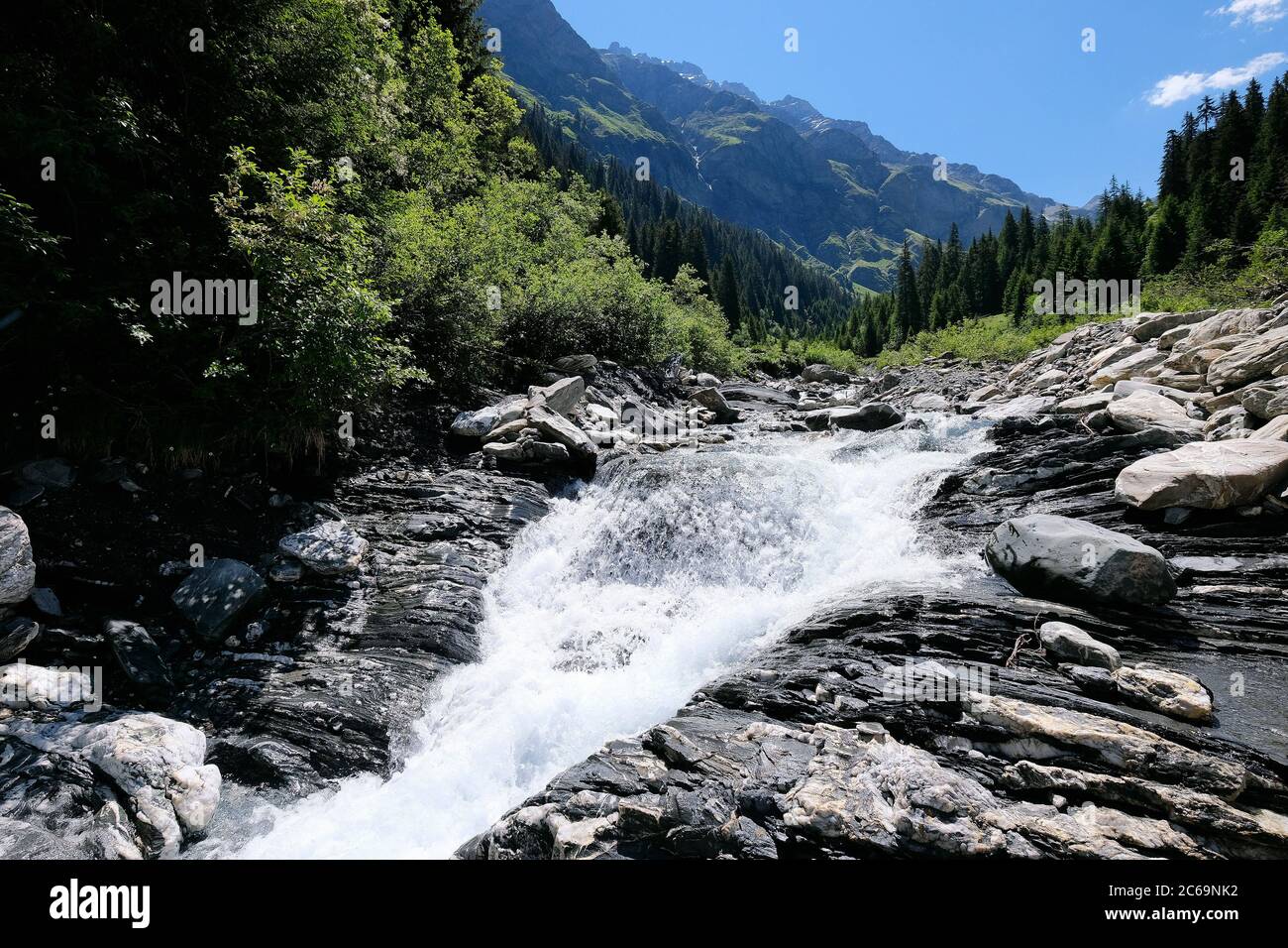 Torrente Carnus sul Glaspass, Parco Naturale Beverin, Canton Graubünden, Svizzera. Foto Stock