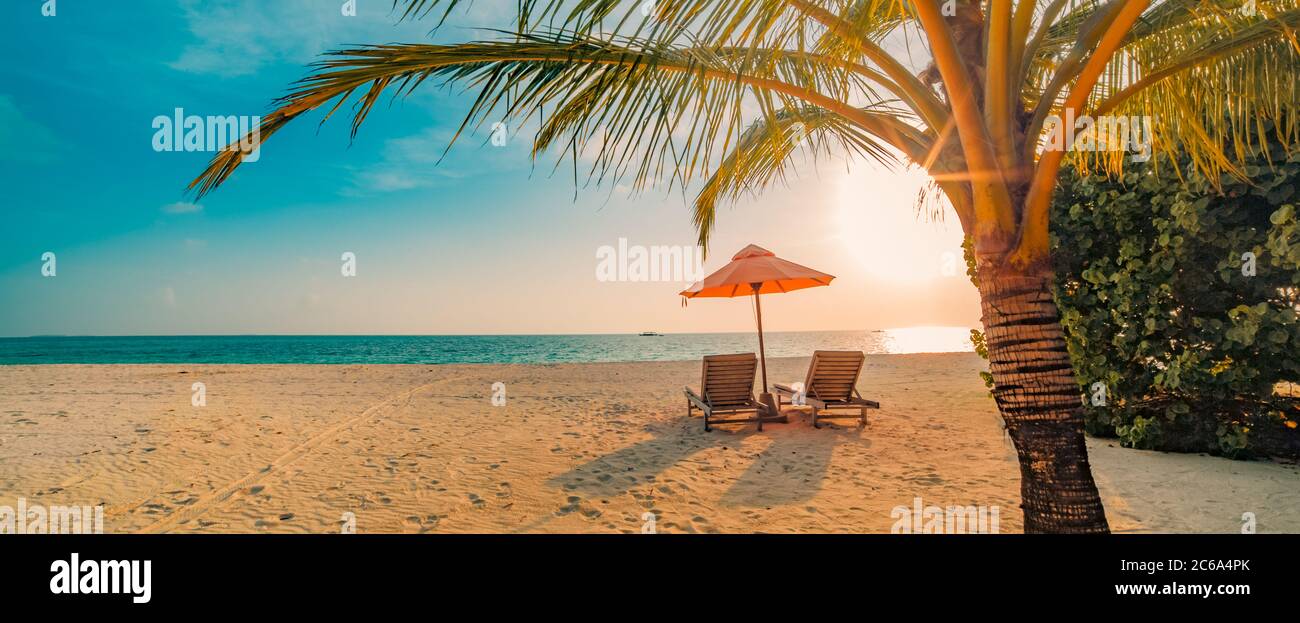 Bella spiaggia tropicale banner. Sabbia bianca e palme da cocco turismo di viaggio ampio panorama di fondo concetto. Splendido paesaggio sulla spiaggia. Viaggi di lusso Foto Stock