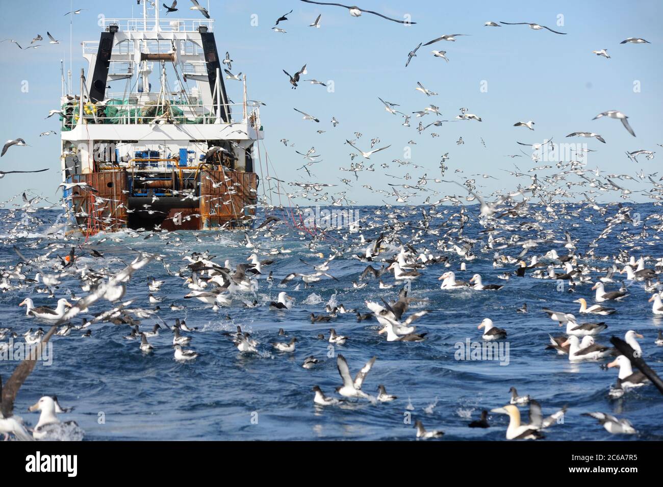 Trawler e un enorme gregge di uccelli marini della costa sudafricana nell'Oceano Atlantico. Molti petrelli, shearwaters e albatroses che volano intorno e swimm Foto Stock