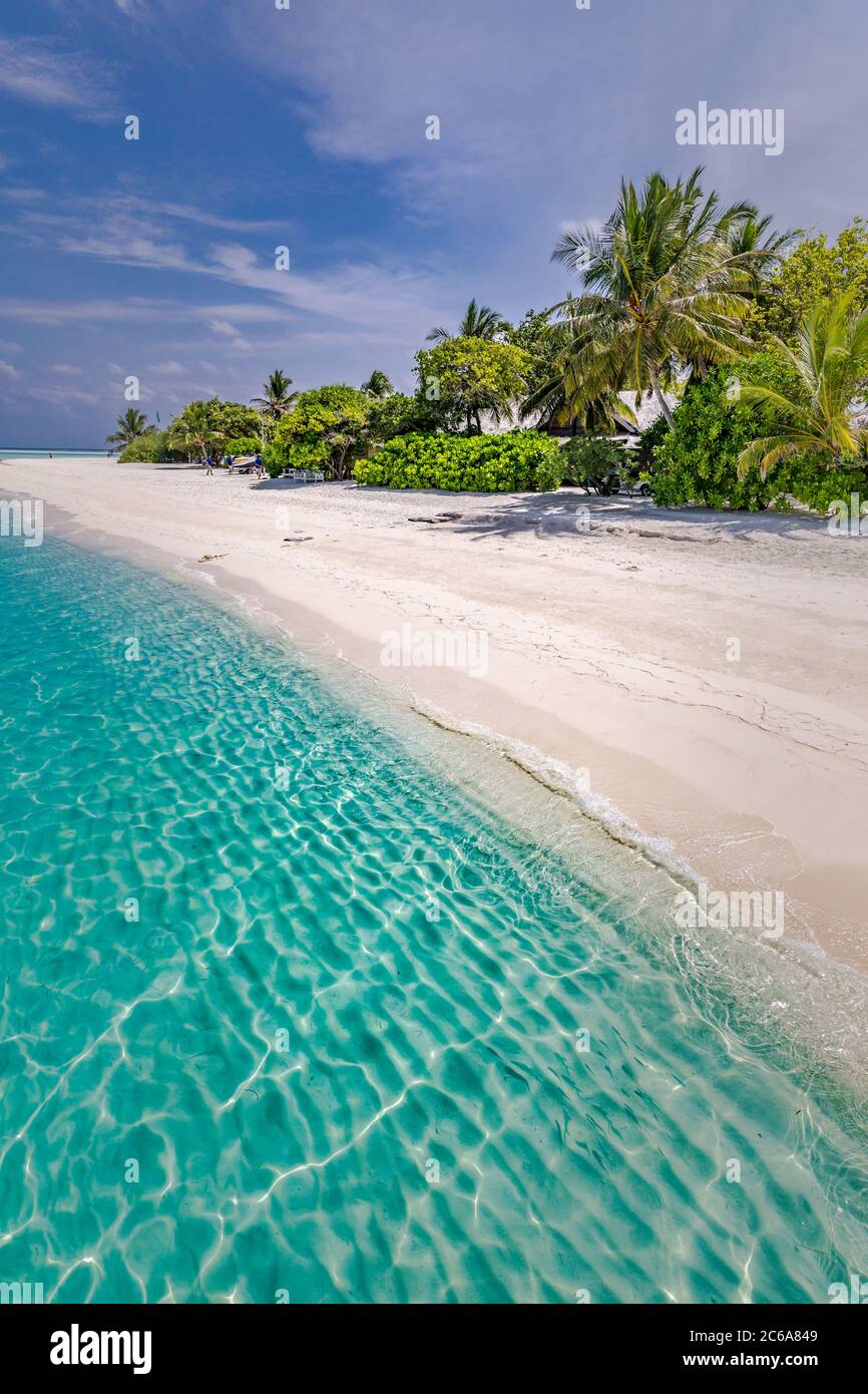 Vacanza estiva su un'isola tropicale con una bellissima spiaggia e palme. Sfondo di viaggi di lusso, paesaggio esotico spiaggia, tempo soleggiato, tropici Foto Stock