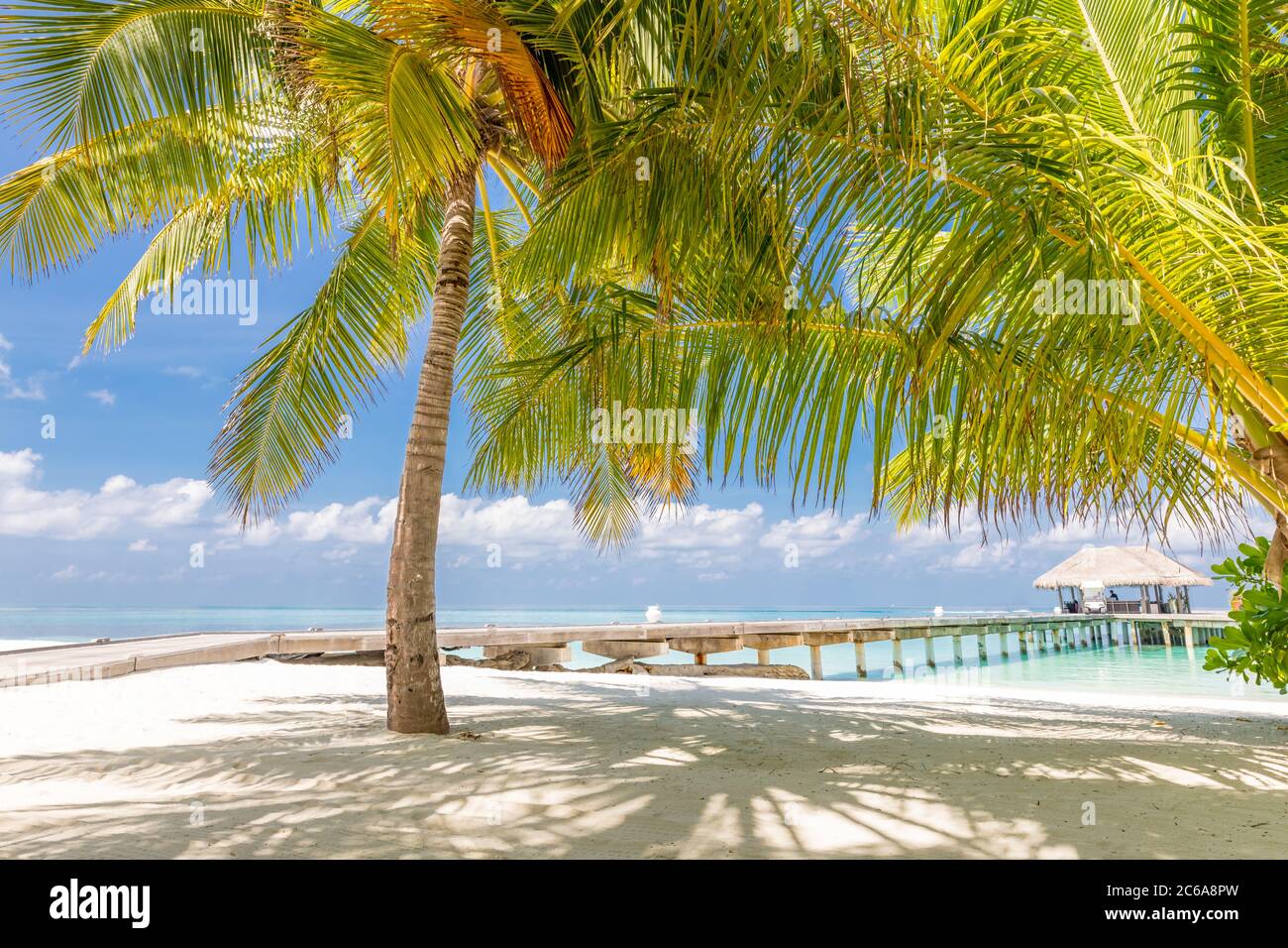 Vacanza estiva su un'isola tropicale con una bellissima spiaggia e palme. Sfondo di viaggi di lusso, paesaggio esotico spiaggia, tempo soleggiato, tropici Foto Stock
