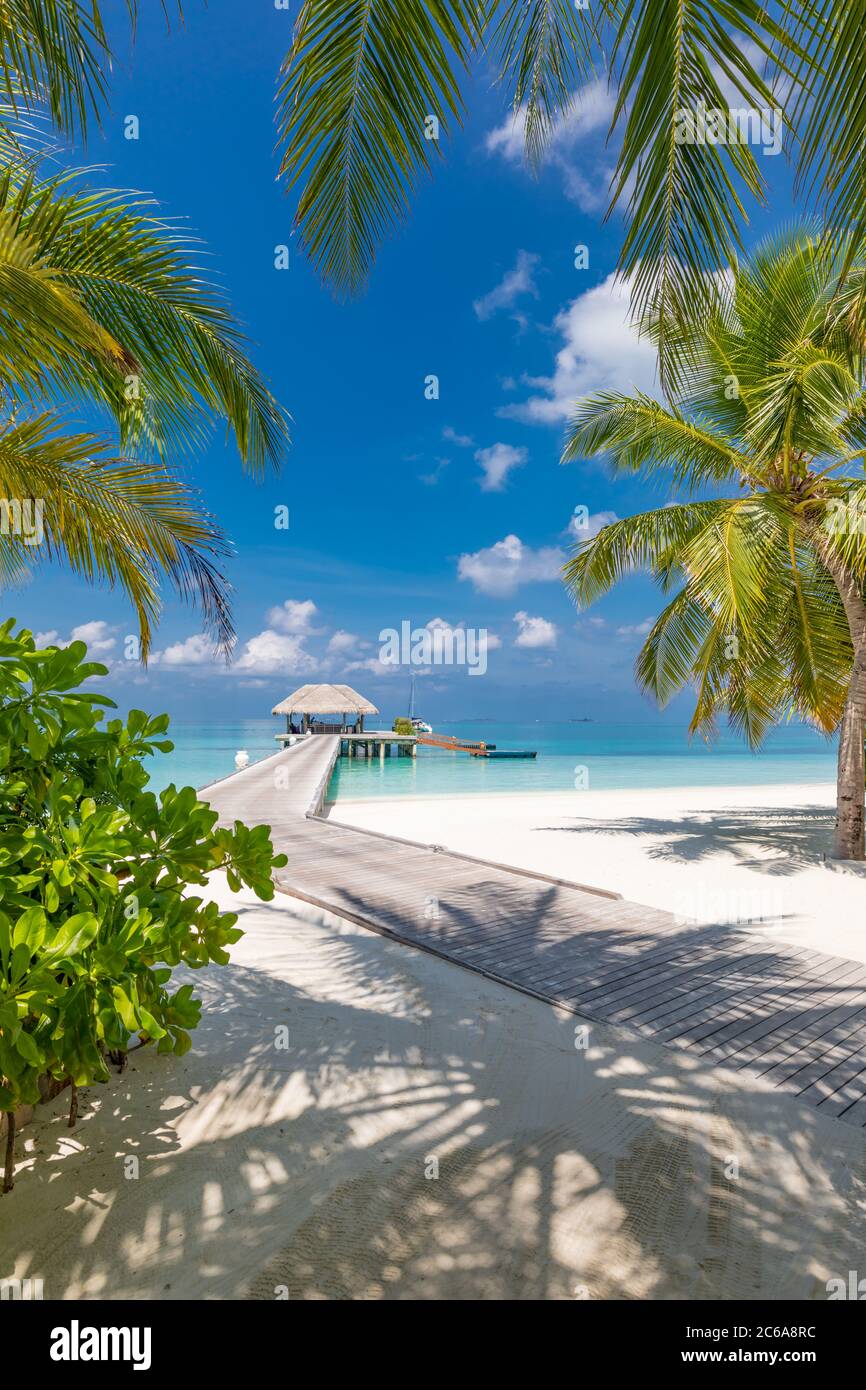 Vacanza estiva su un'isola tropicale con una bellissima spiaggia e palme. Sfondo di viaggi di lusso, paesaggio esotico spiaggia, tempo soleggiato, tropici Foto Stock