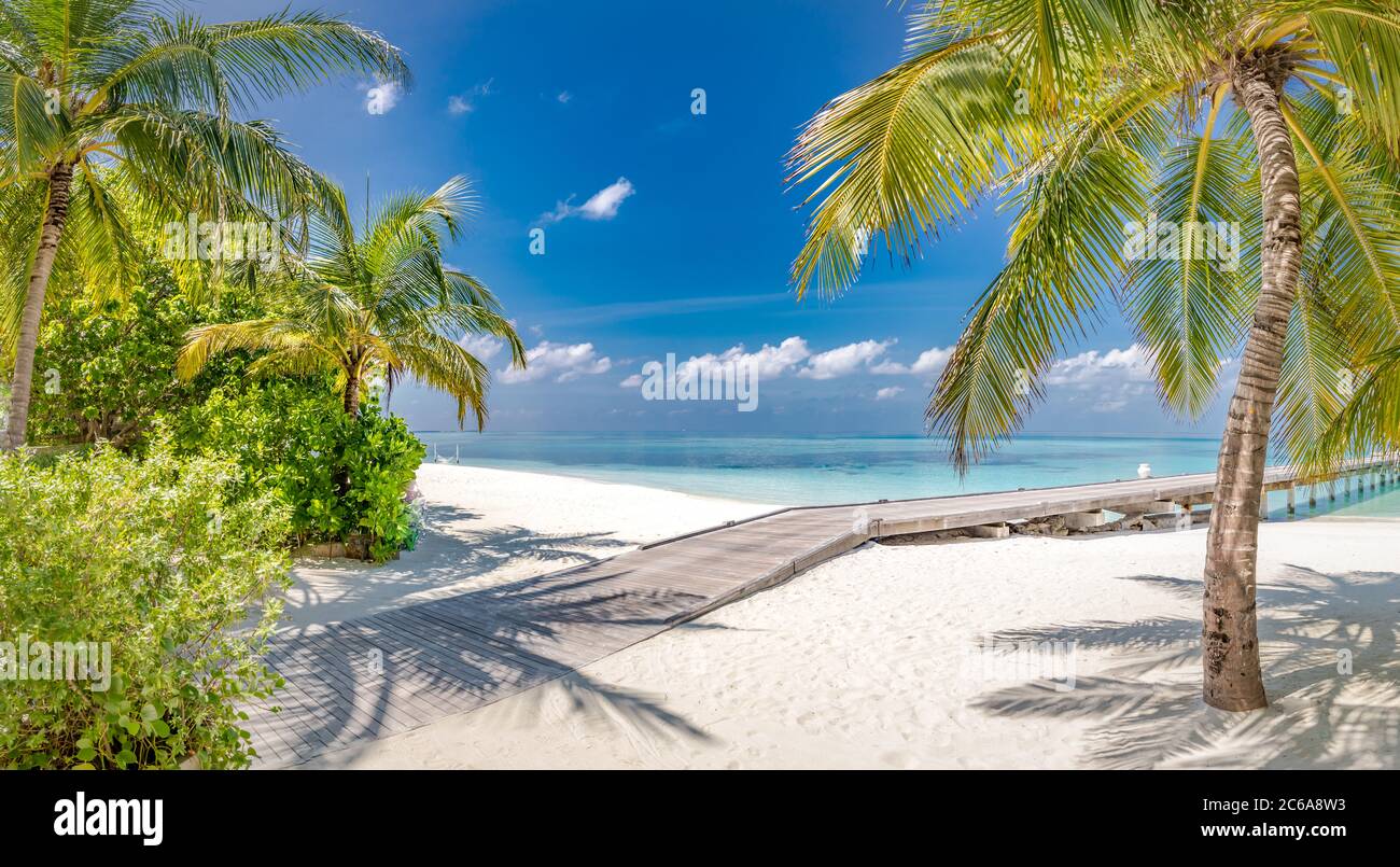 Vacanza estiva su un'isola tropicale con una bellissima spiaggia e palme. Sfondo di viaggi di lusso, paesaggio esotico spiaggia, tempo soleggiato, tropici Foto Stock