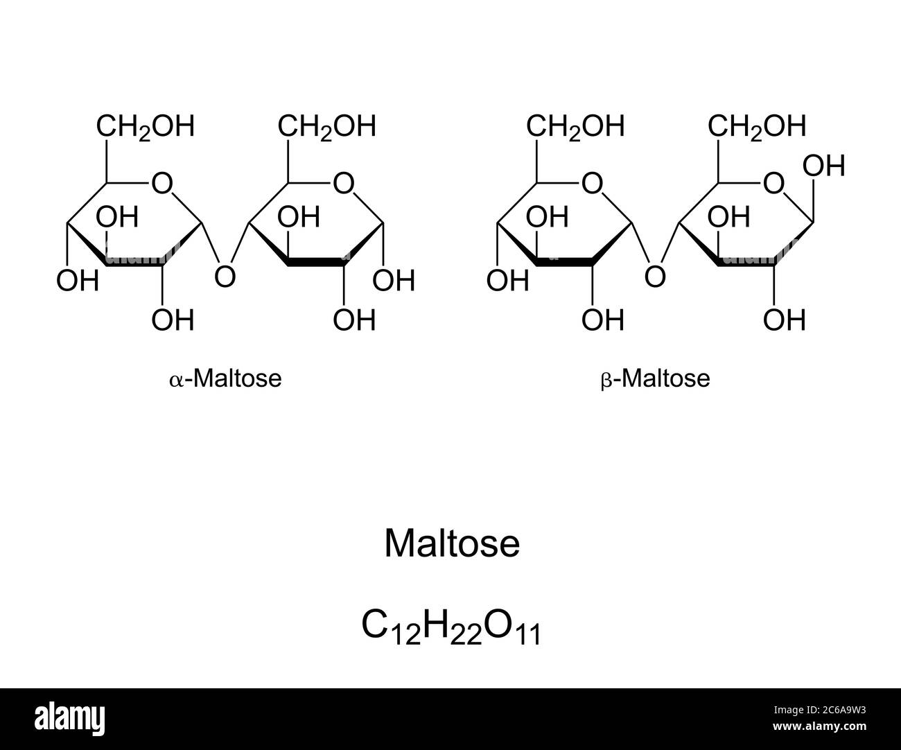 Maltosio, zucchero di malto, struttura chimica. Maltobiose, un disaccaride formato da 2 unità di glucosio. Componente del malto. Foto Stock