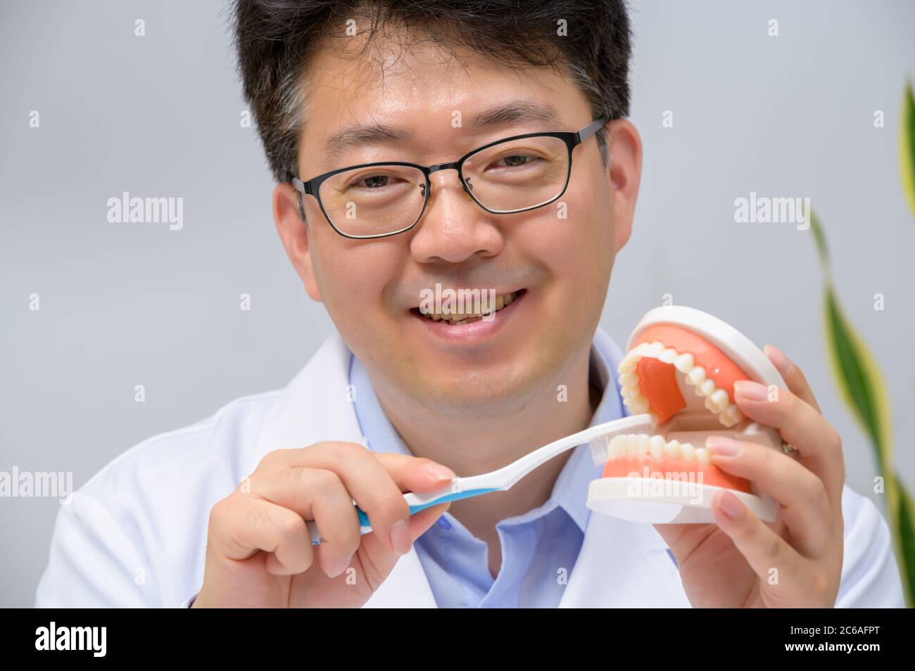 Dentista asiatico di mezza età che tiene in mano modelli dentali e spazzolini da denti. Foto Stock