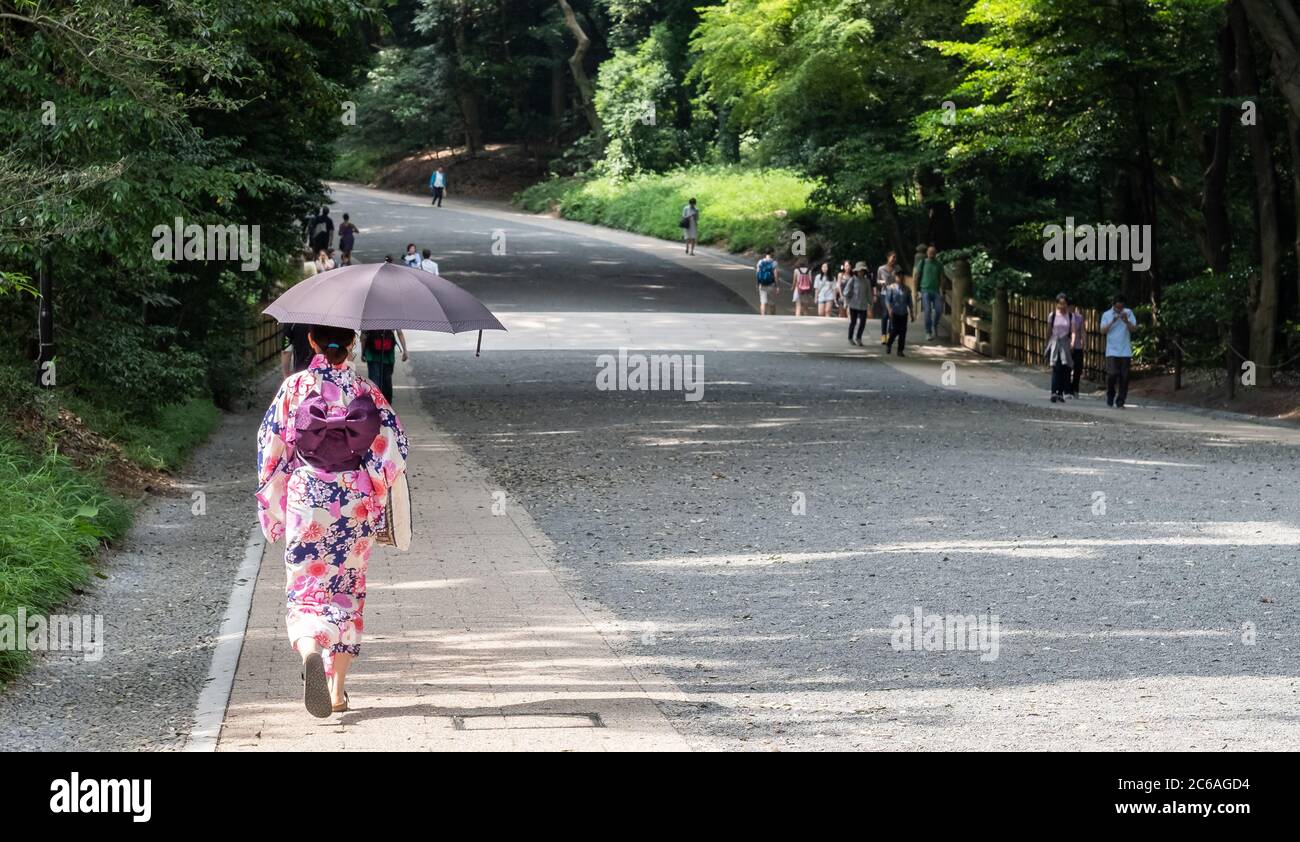 Donna che indossa kimono che cammina nel Santuario Meiji Jingu Shinto, Tokyo, Giappone Foto Stock