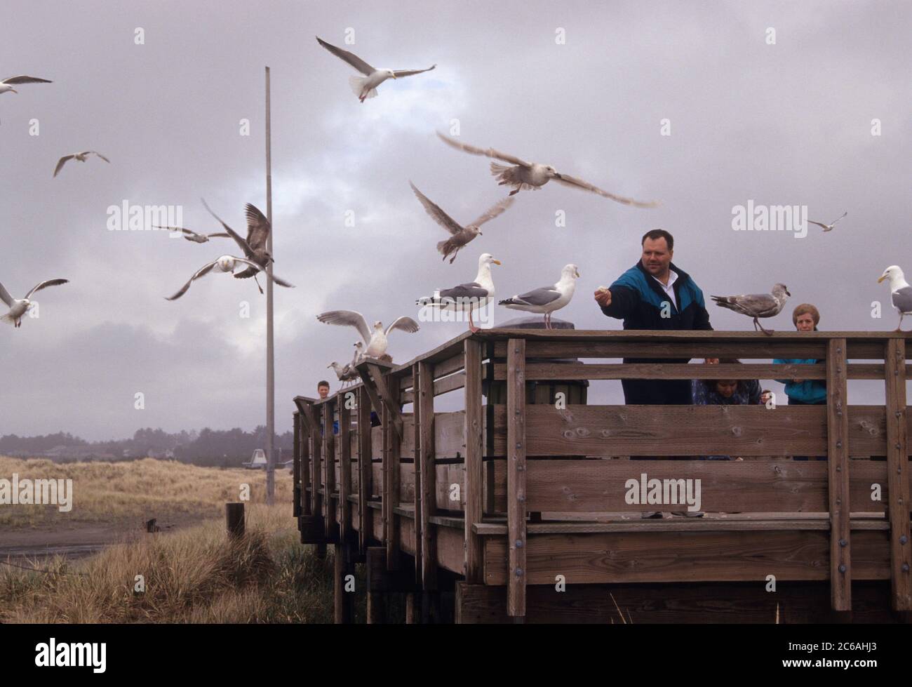 Nutrire i gabbiani sul lungomare, Long Beach, Washington Foto Stock