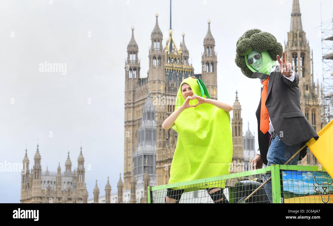 La gente durante una dimostrazione organizzata da Save British Farming (SBF) di trattori e sostenitori dell'agricoltura che si sono dimostrati lenti a Westminster, Londra, per protestare contro le minacce agli standard alimentari del Regno Unito nei futuri accordi commerciali. Foto Stock