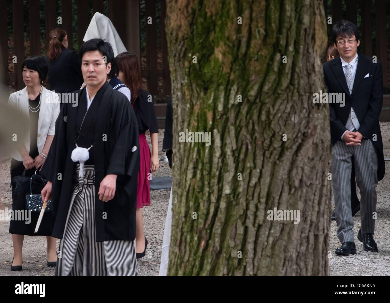 Groom giapponese in kimono nero al complesso del santuario Meiji Jingu Shinto, Tokyo, Giappone Foto Stock