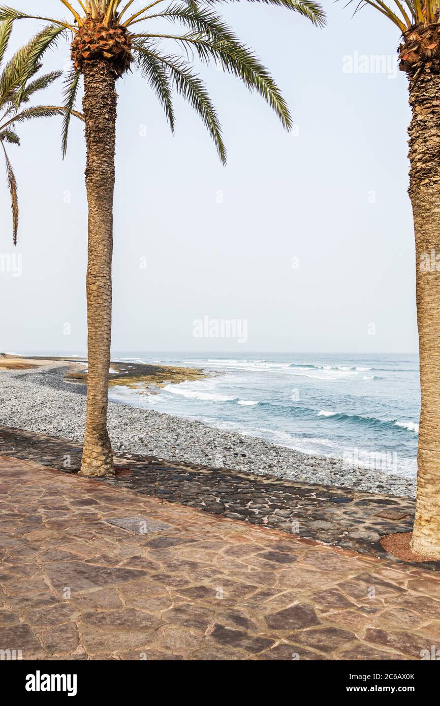 Costa lungo Playa hondo con palme a bassa marea, Playa de Las Americas, Tenerife, Isole Canarie, Spagna Foto Stock