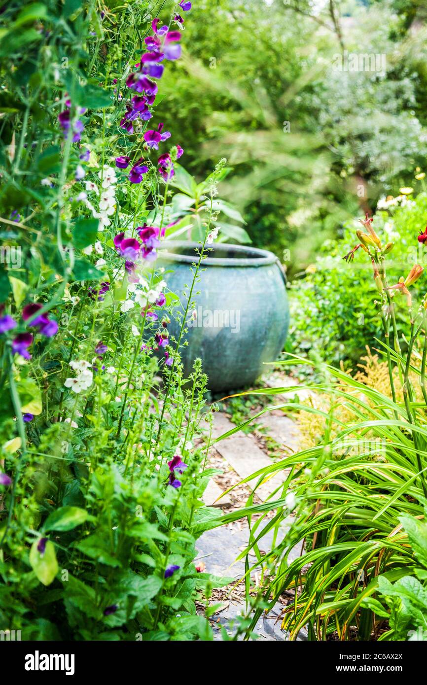 Un grande contenitore di piante utilizzato come caratteristica focale in un giardino estivo. Foto Stock