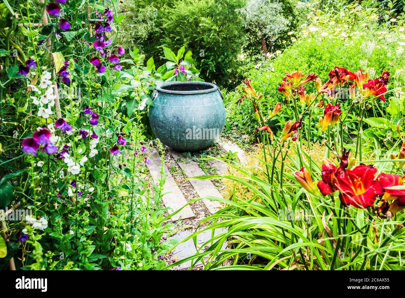 Un grande contenitore di piante utilizzato come caratteristica focale in un giardino estivo. Foto Stock