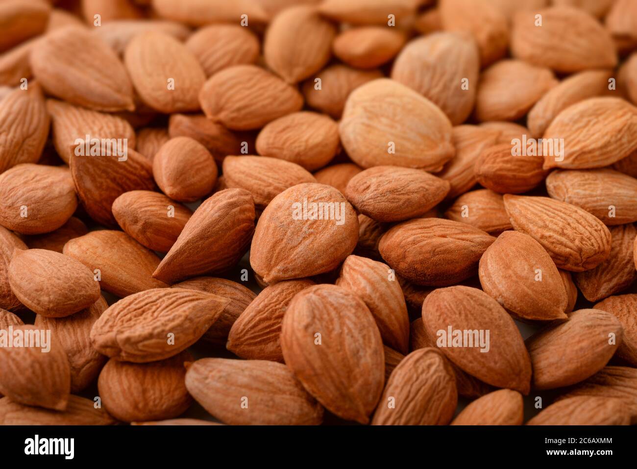 Primo piano di noccioli di albicocca essiccati Foto Stock