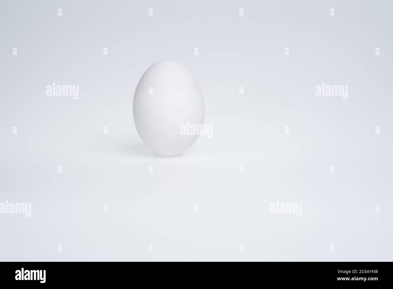 Uovo d'anatra bianco su sfondo bianco Foto Stock