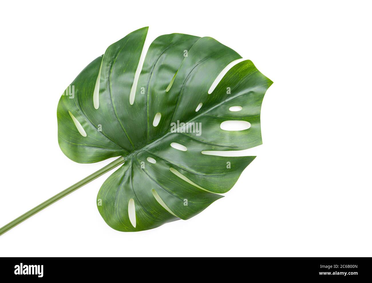 Foglia verde di Monstera isolata su sfondo bianco, foglia di plastica come decorazione Foto Stock