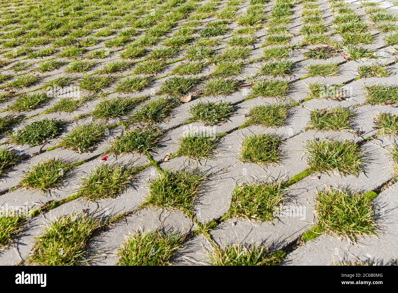 Erba verde tra le piastrelle quadrate del marciapiede. Pavimentazione in  erba e cemento. Sfondo eco parking texture Foto stock - Alamy