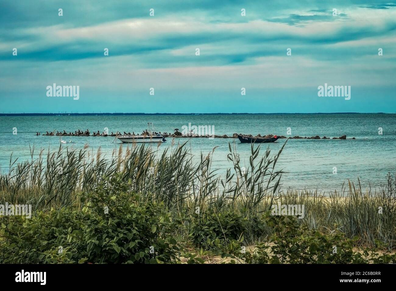 Cormorani che aspettano su rocce alla spiaggia di Thiessow sull'isola baltica Ruegen Foto Stock