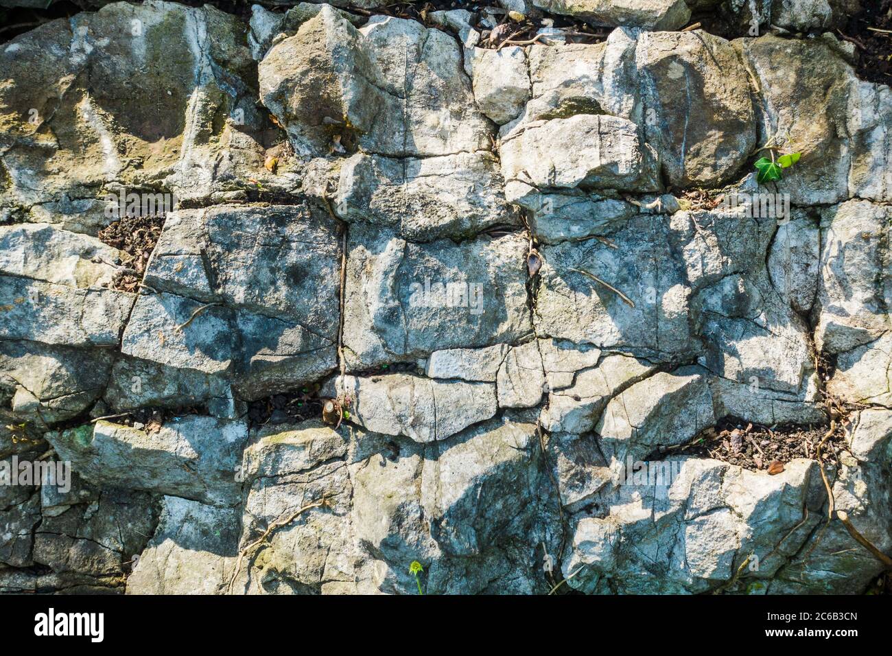Dettaglio di calcare sbriciolato su una parete roccioso UK Foto Stock