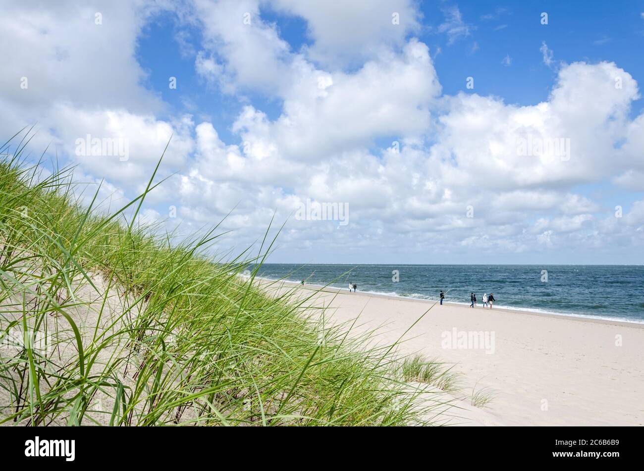 Spiaggia erba su una duna vicino alla spiaggia e l'oceano sulla costa tedesca del Mare del Nord Foto Stock