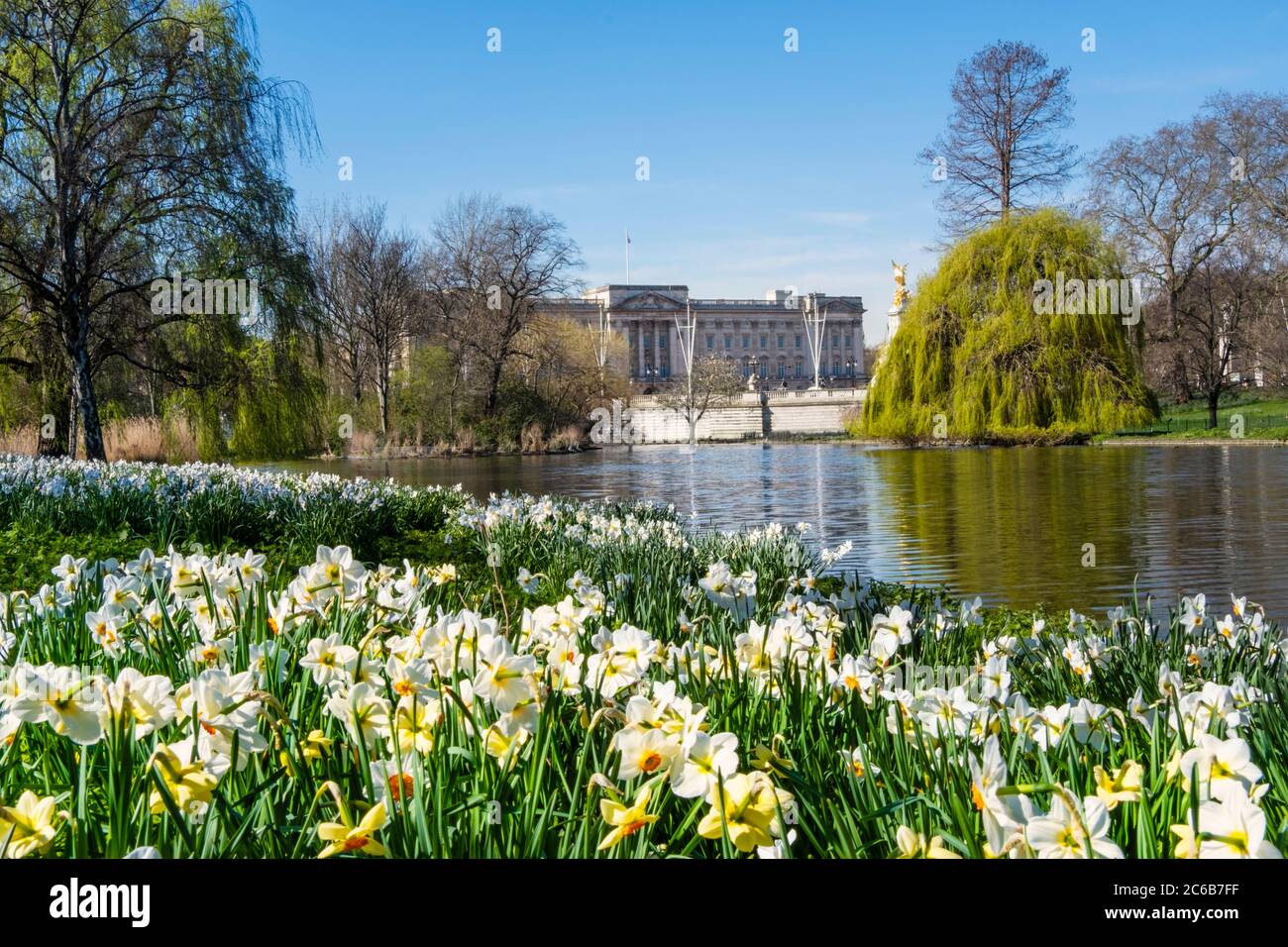 Vista di Buckingham Palace in primavera da St. James's Park, Londra, Inghilterra, Regno Unito, Europa Foto Stock