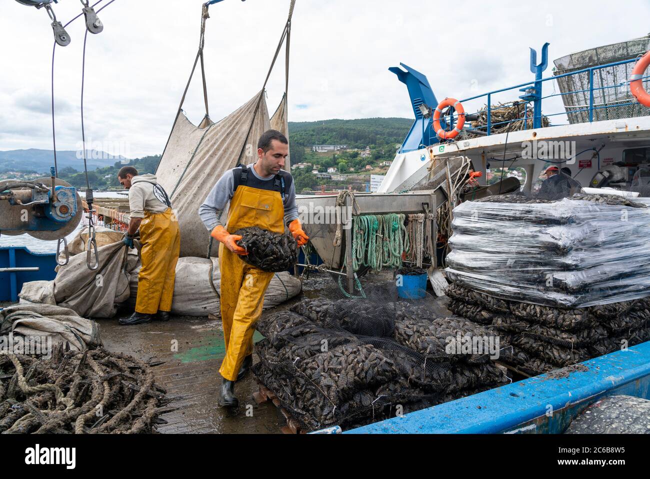 Pescatori che lavorano su una barca ottenere cozze da una batea zattera a Redondela, Galizia, Spagna, Europa Foto Stock