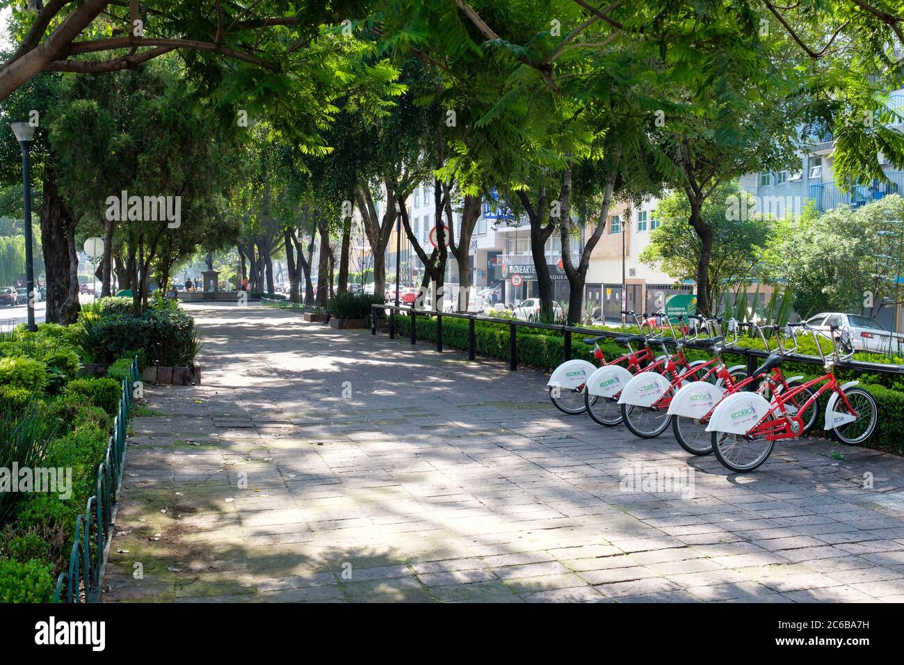 Viale Alvaro Obregon nel quartiere alla moda di Roma Norte a Città del Messico Foto Stock