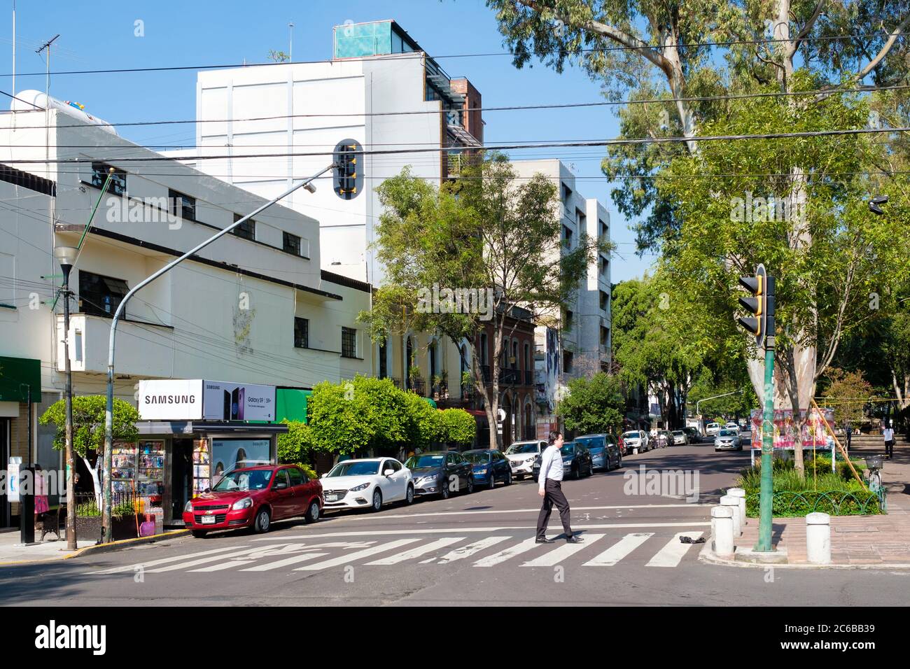 CITTÀ DEL MESSICO - LUGLIO 18,2018 : viale Alvaro Obregon nel quartiere alla moda di Roma Norte a Città del Messico Foto Stock