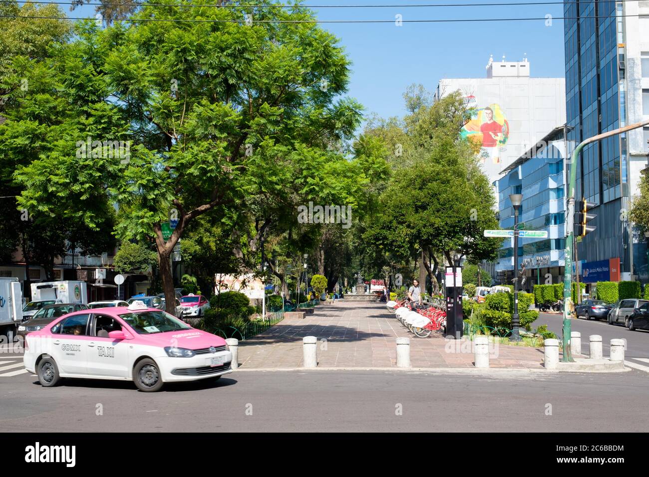 Viale Alvaro Obregon nel quartiere alla moda di Roma Norte a Città del Messico Foto Stock