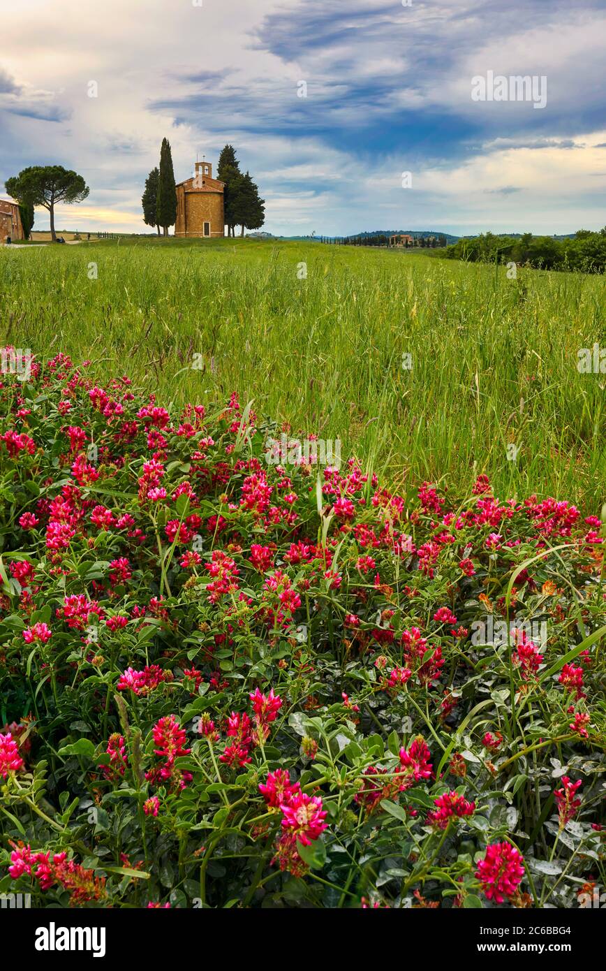 Cappella di Vitaleta in primavera, Val d'Orcia, Patrimonio dell'Umanità dell'UNESCO, Toscana, Italia, Europa Foto Stock