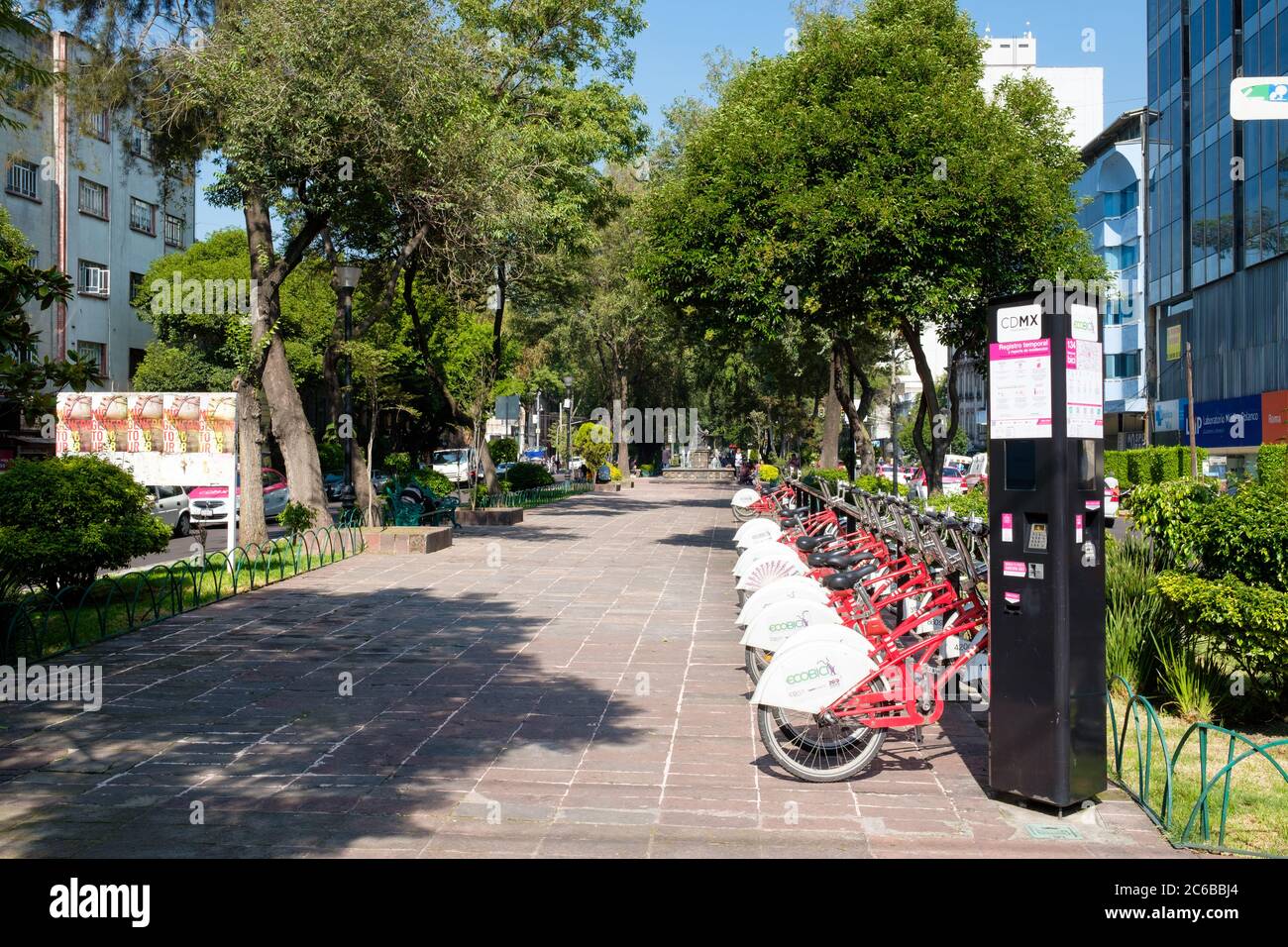 Viale Alvaro Obregon nel quartiere alla moda di Roma Norte a Città del Messico Foto Stock