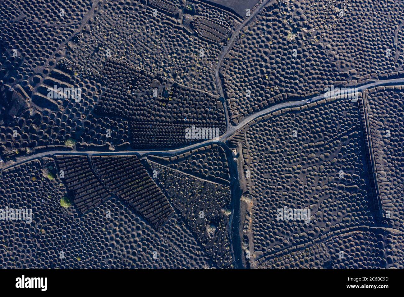 Vista aerea sui vigneti e il nero del suolo vulcanico, la Geria, Lanzarote, Isole Canarie, Spagna, Atlantico, Europa Foto Stock
