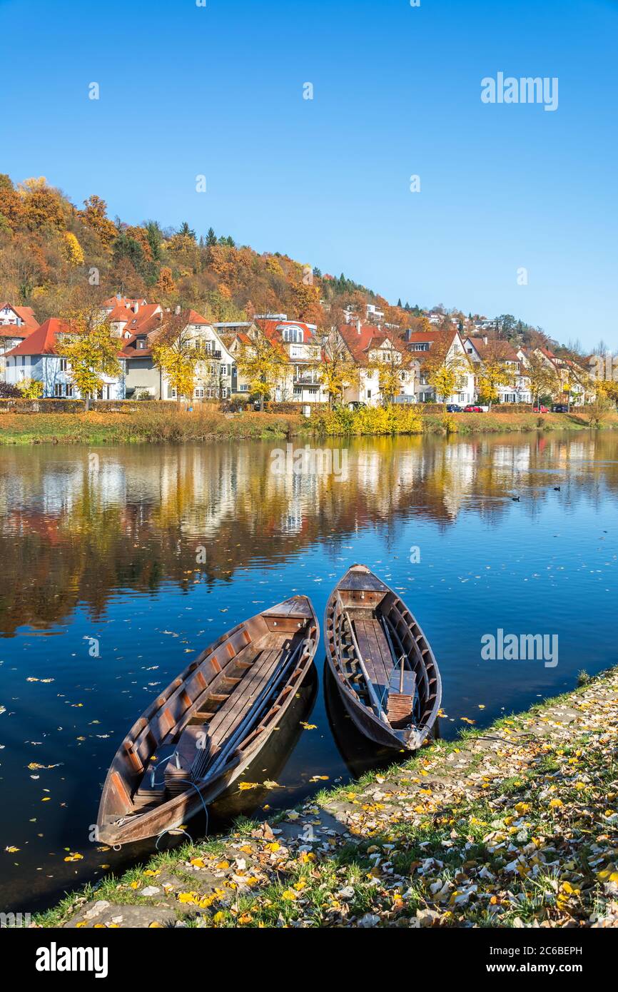 Barche tipiche (Stochrekähne) sul fiume Neckar in autunno a Tübingen, Germania Foto Stock
