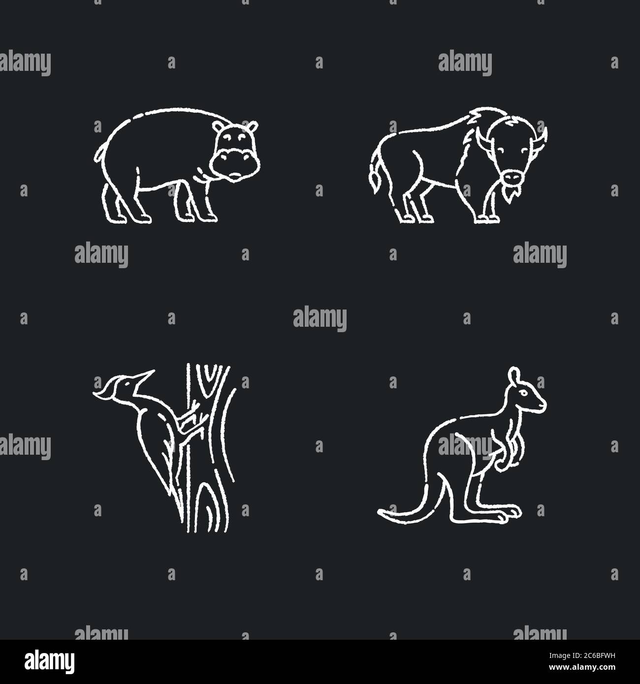 Varie icone bianche gesso animali su sfondo nero. Uccello forestale comune e fauna esotica. Ippopotamo, picchio, bisonte americano e canguro. Illustrazione Vettoriale Varie icone bianche gesso animali su sfondo nero. Uccello forestale comune e fauna esotica. Ippopotamo, picchio, bisonte americano e canguro. Illustrazione Vettoriale