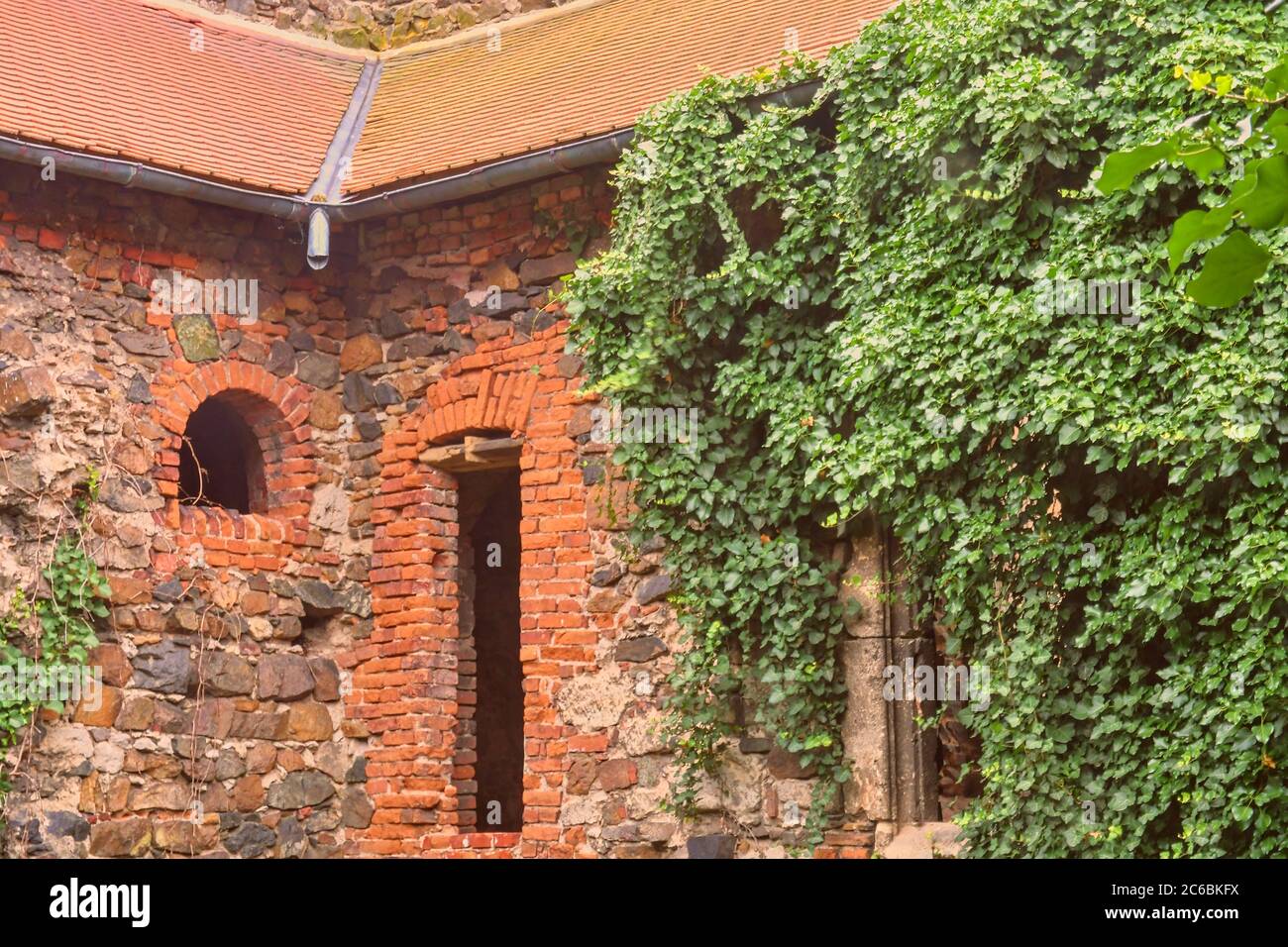 Rovine del convento medievale. Convento Rosa Coeli a Dolni Kounice, Cechi Foto Stock