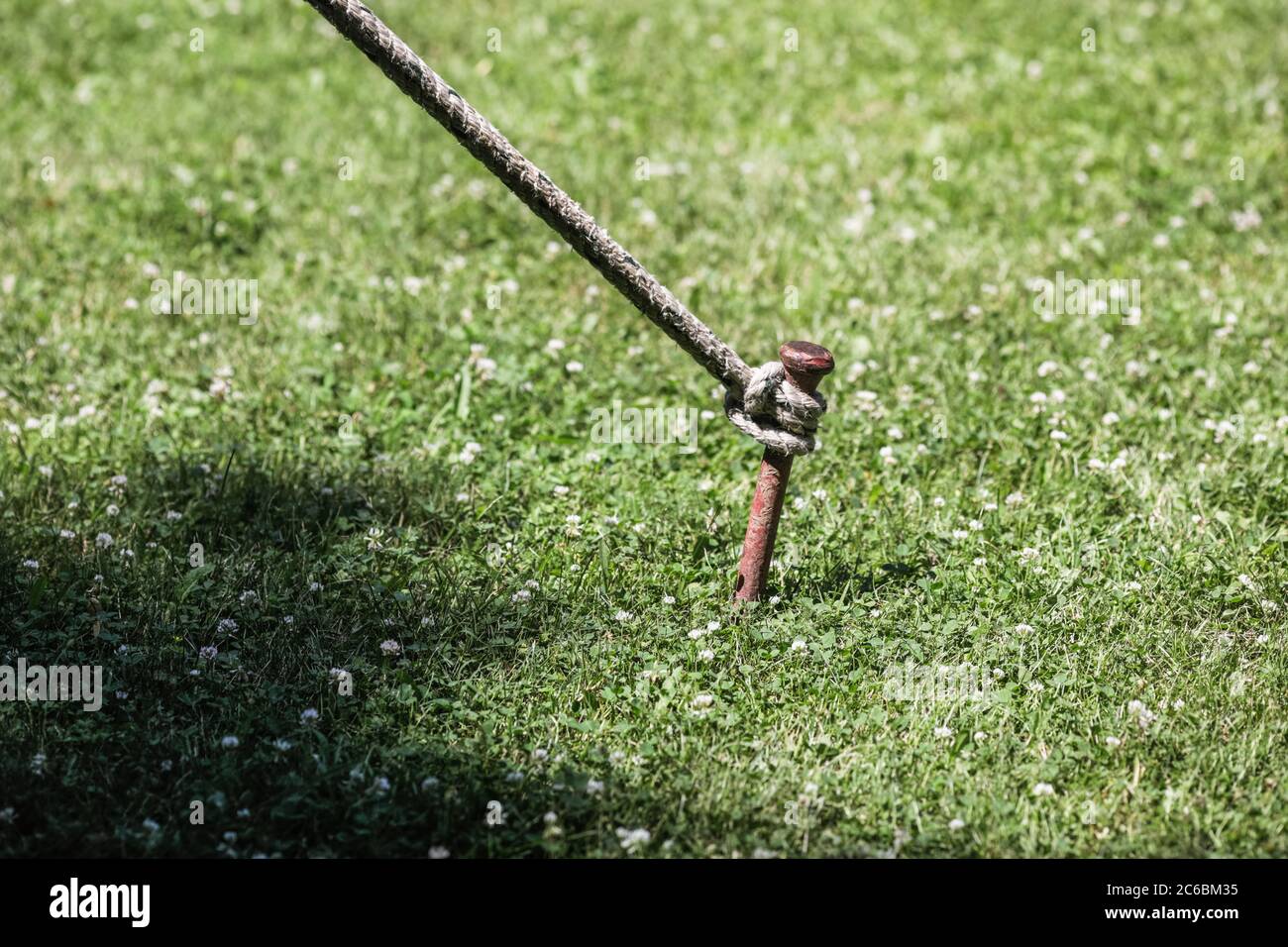 Immagine della profondità di campo (fuoco selettivo) poco profonda con una corda che tiene una grande tenda (non raffigurata) legata ad un picco di metallo pesante sepolto nel terreno. Foto Stock