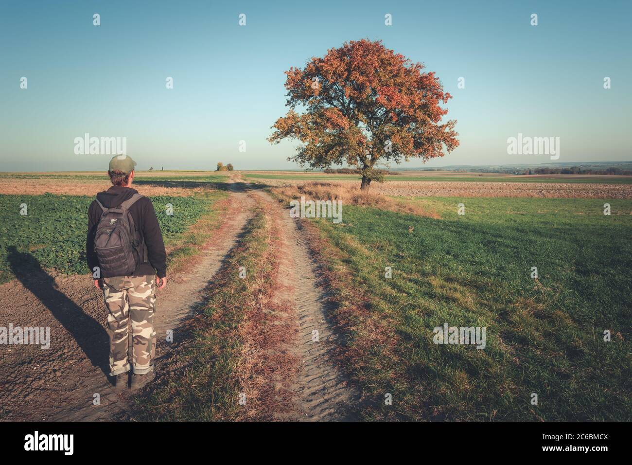 Un uomo in piedi su una strada rurale e un grande albero, soleggiata vista autunnale Foto Stock