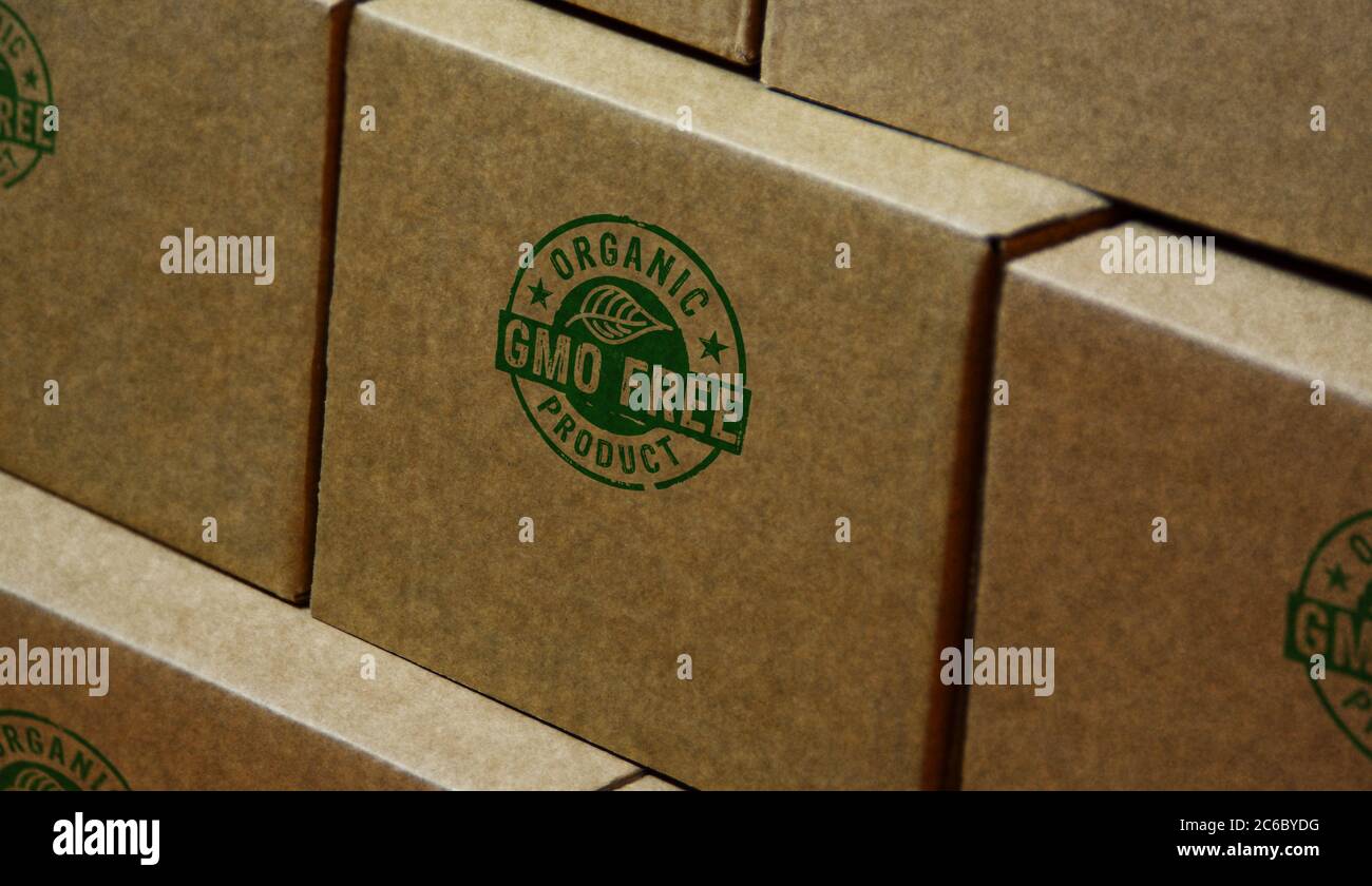 Timbro di prodotto biologico privo di OGM stampato su scatola di cartone. Ecologia, stile di vita naturale e concetto di dieta sana. Foto Stock