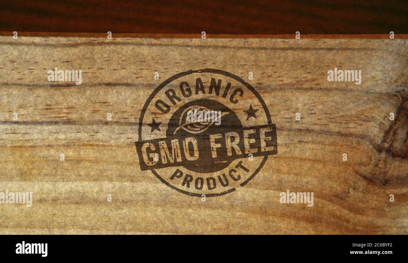 Timbro di prodotto biologico privo di OGM stampato su scatola di legno. Ecologia, stile di vita naturale e concetto di dieta sana. Foto Stock