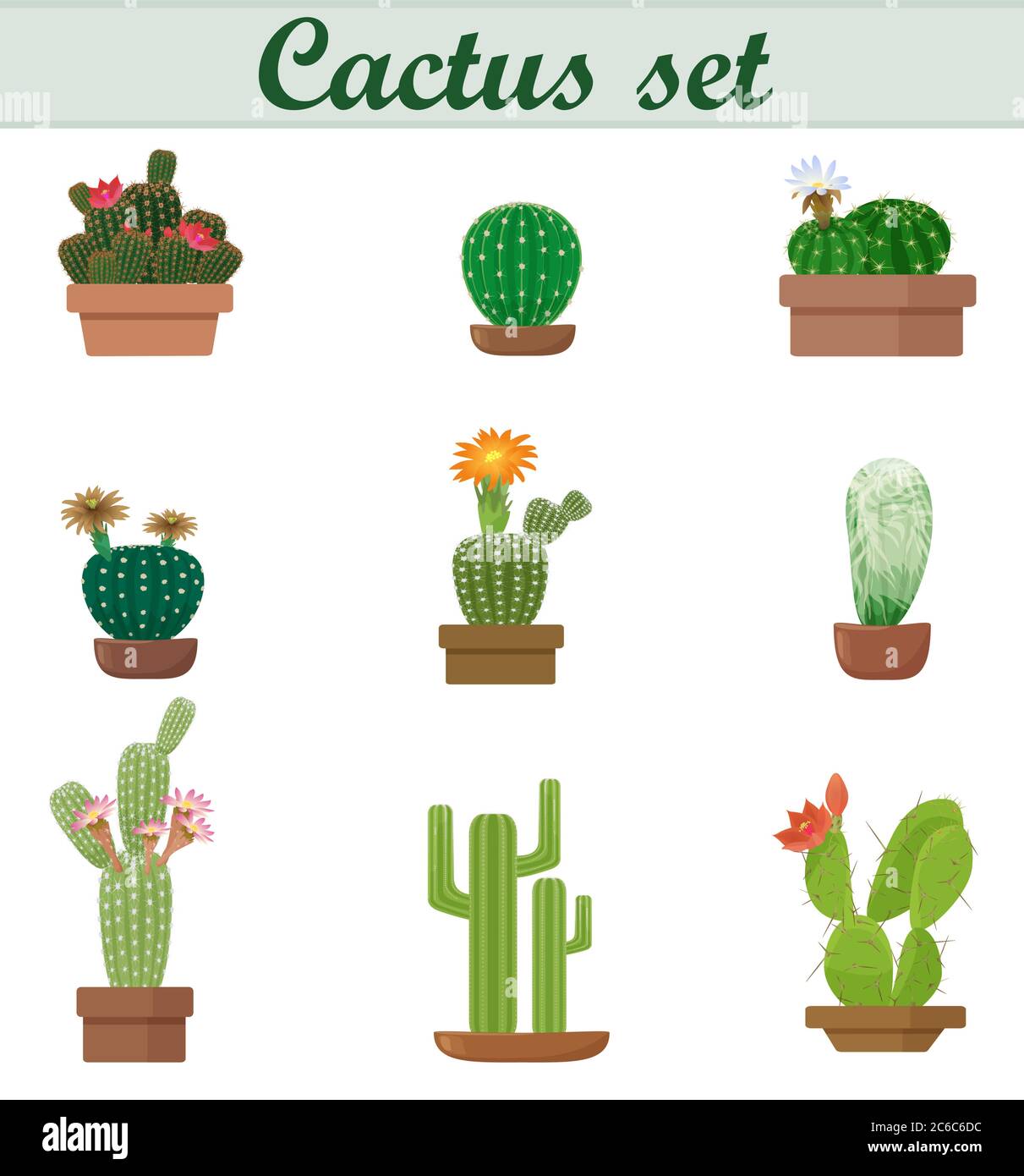 Illustrazione vettoriale realistica del set di Cactus. Elegante stile piatto. Fiore esotico floreale. Bella pentola Illustrazione Vettoriale