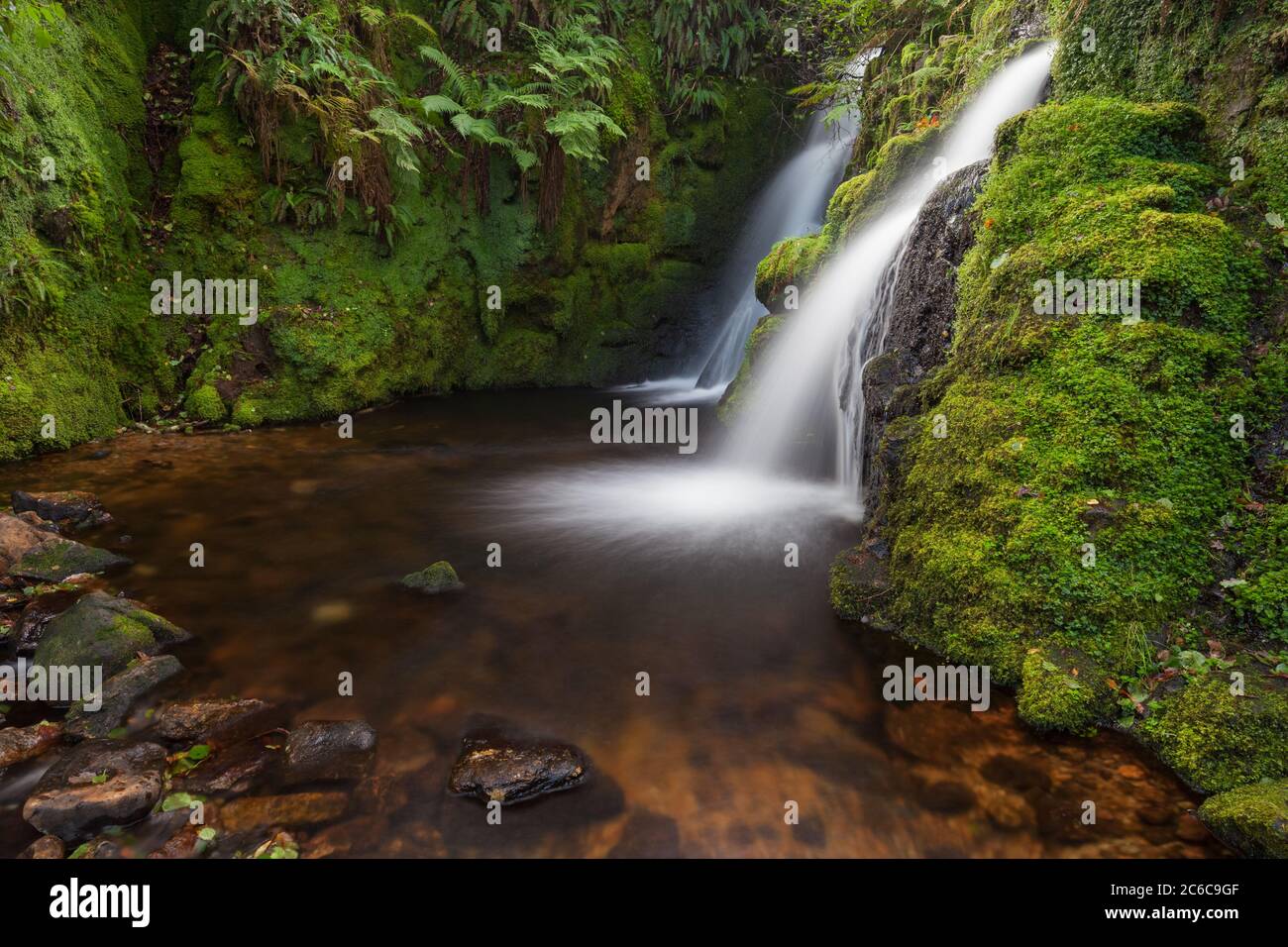 Cascate di Venford, Dartmoor Foto Stock