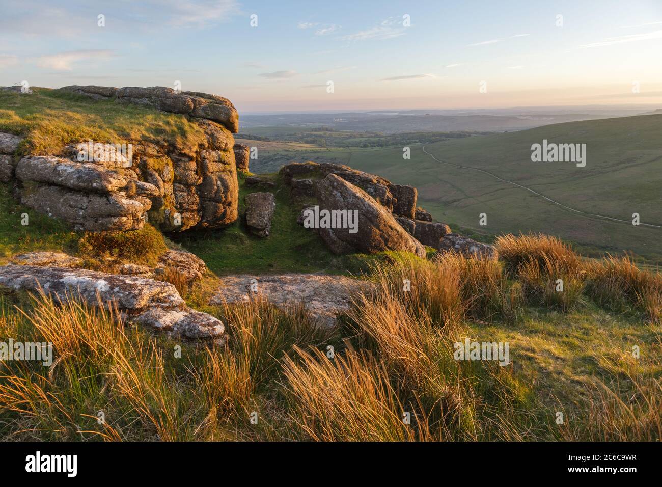 Sharp Tor su South Dartmoor sopra mucche Copse Foto Stock