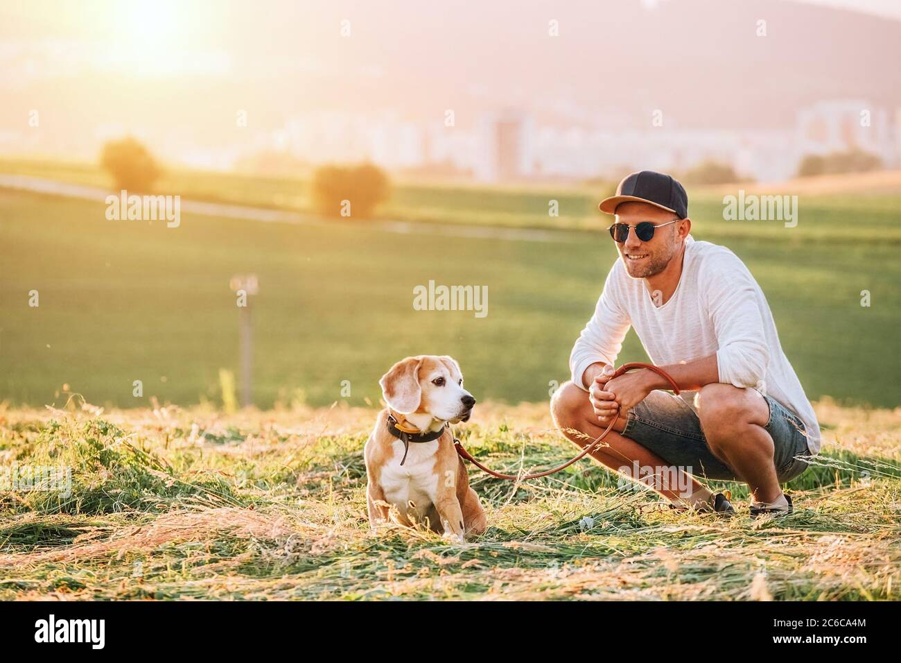 Uomo di mezza età vestito maglione bianco chiaro e jeans pantaloncini che cammina con il suo cane beagle durante il tramonto sera. Si siedono sul solo g falciatura Foto Stock