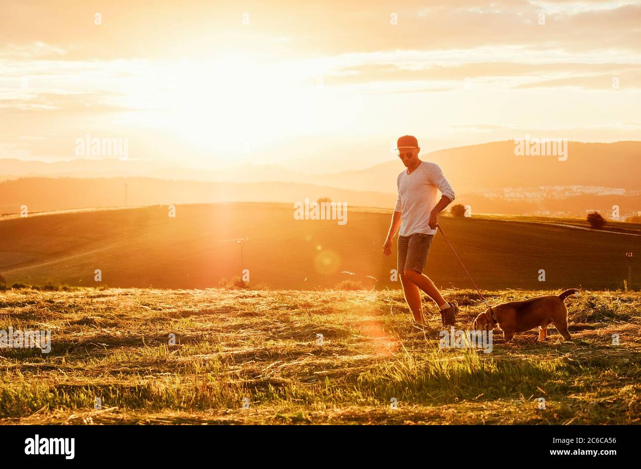 Un uomo di mezza età vestito bianco chiaro maglione e jeans pantaloncini che cammina con il suo cane beagle durante il tramonto sera. Camminano sulla falciatura giusta g Foto Stock