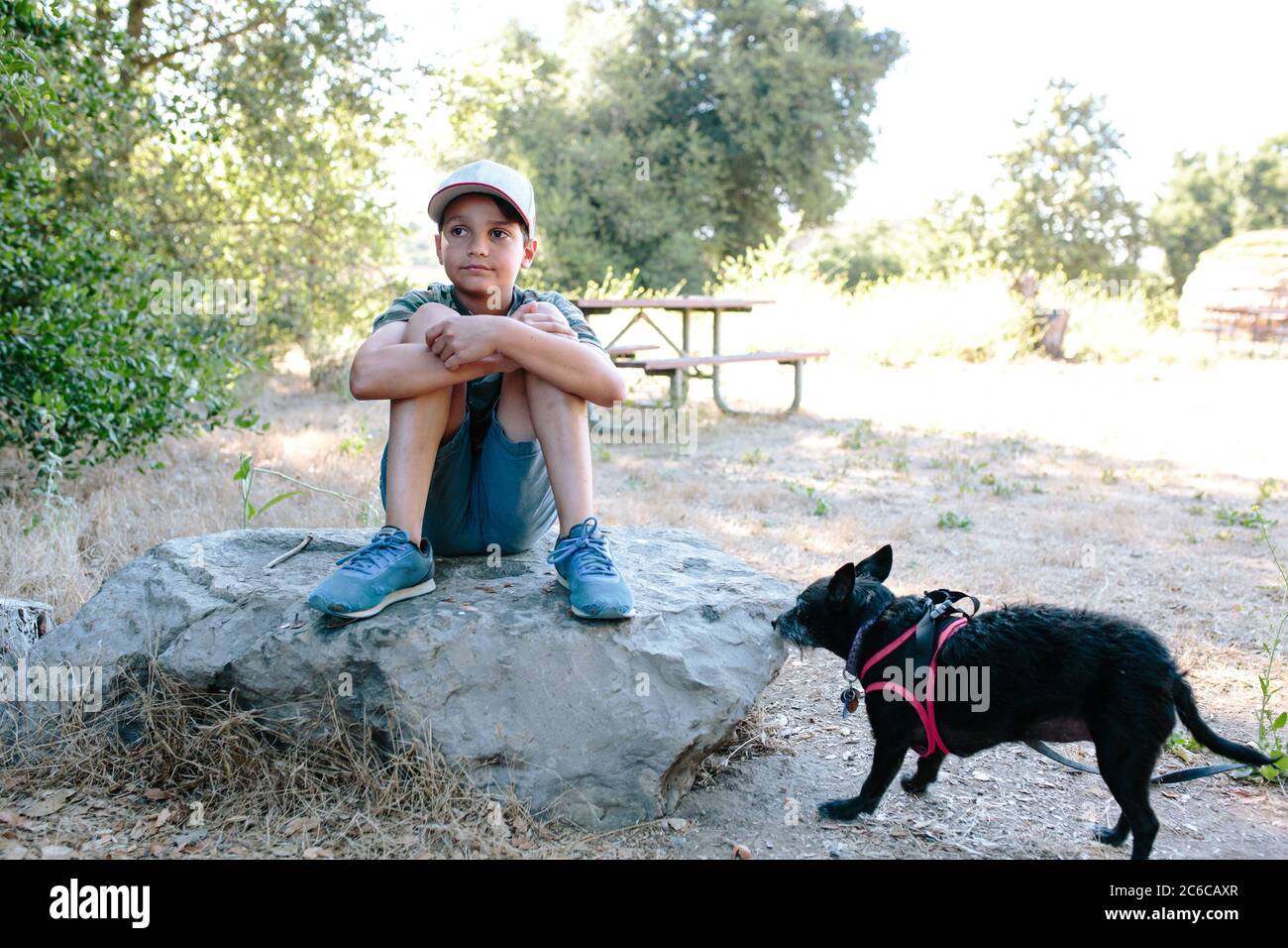 Ragazzo si siede su una grande roccia daydreaming con il suo cane nelle vicinanze Foto Stock