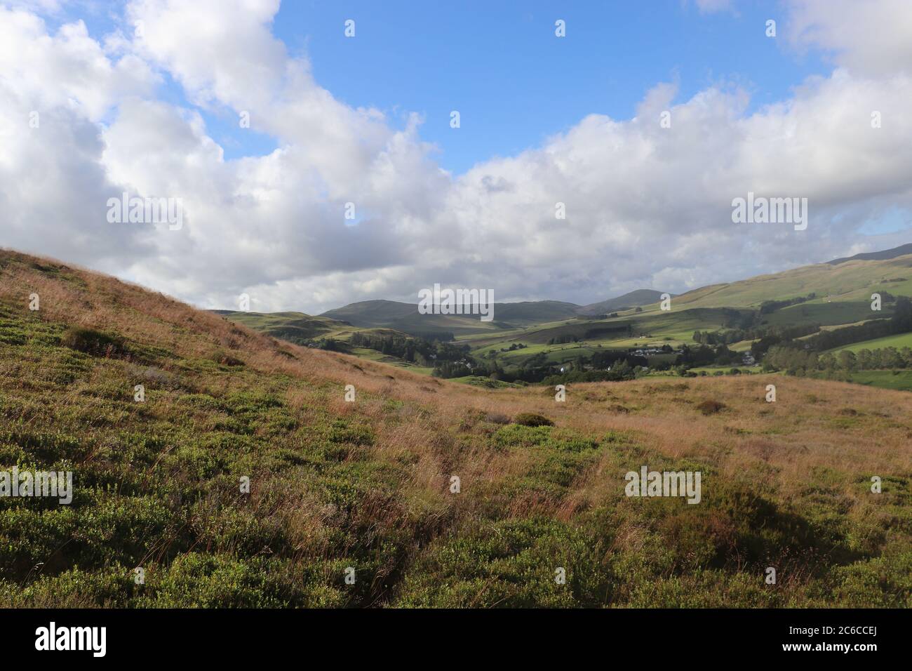 Verdi colline e campi di fieno Foto Stock