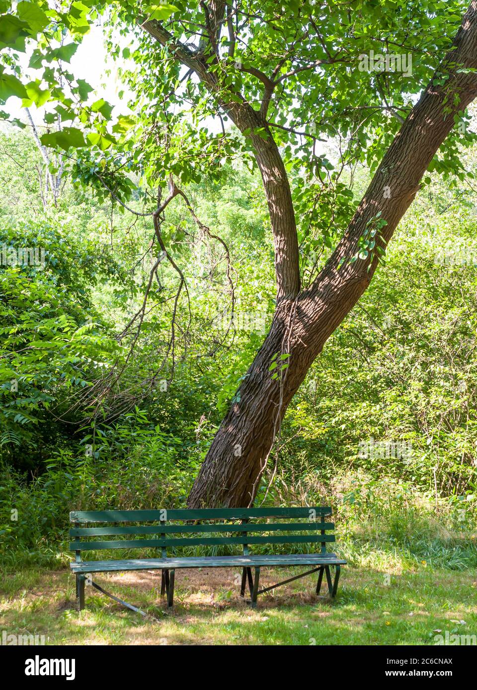 Una panchina di legno nel parco di Frick in una giornata estiva soleggiata, Pittsburgh, Pennsylvania, Stati Uniti Foto Stock