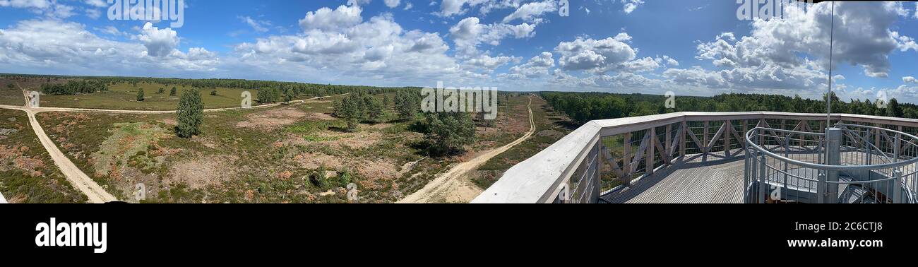 Pfalzheim, Germania. 06 luglio 2020. Da una torre di osservazione il visitatore può vedere la vastità del paesaggio di brughiera del Kyritz-Ruppiner Heide. Utilizzando satelliti e droni, il Potsdam Geoforschungszentrum (GFZ) misura i dati per la conservazione e l'espansione della biodiversità nel Kyritz-Ruppiner Heide (a dpa 'se la brughiera rimane una brughiera: Geo telerilevamento della GFZ ') Credo: Paul Zinken/dpa/Alamy Live News Foto Stock