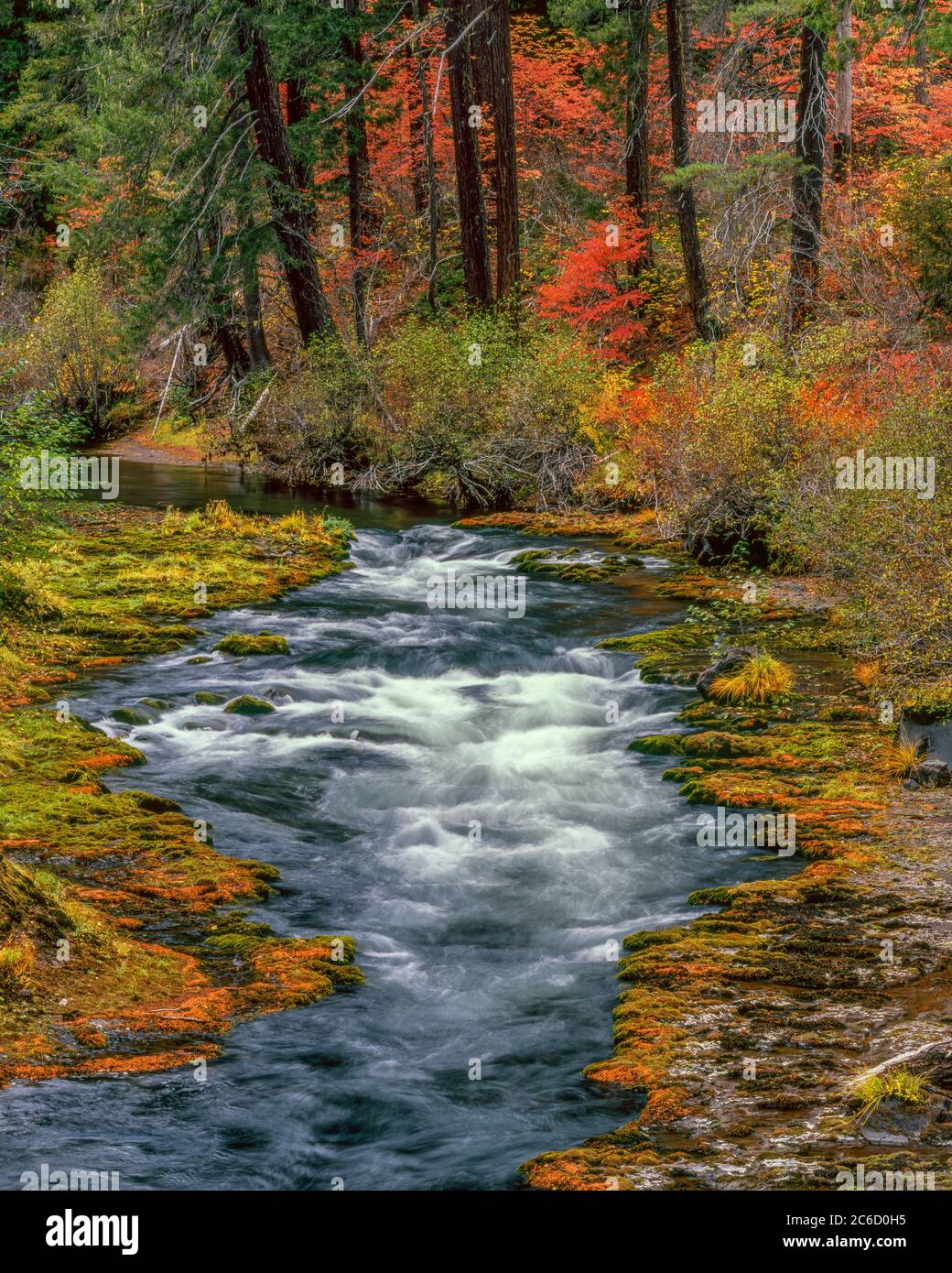 Takelma Gorge, Rogue River, Rogue River National Wild e Scenic River, Oregon, Rogue River National Forest, Oregon Foto Stock
