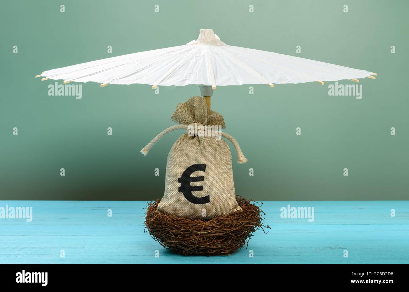 EURO money bag su un nido e protetto da un concetto ombrello di investimento di sicurezza DI EURO valuta Foto Stock